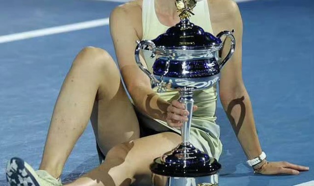 开云APP-莱巴夺冠，武科夫神级指导成名场面，比起外界争议合适更重要