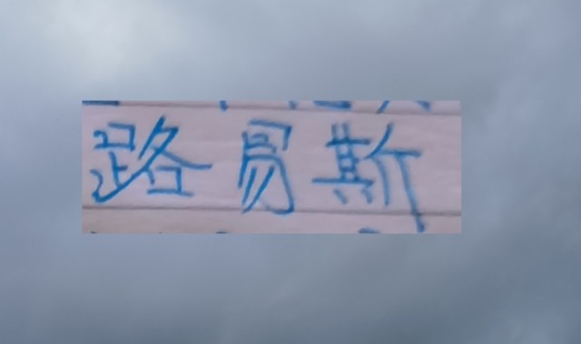 想不到！没有被申花续约路易斯 回到巴西第二场比赛就进球