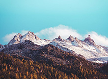 开云-还原苏宁夺冠现场：领奖破了规矩 奥帅重量被叫苦