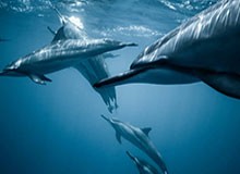 开云体育官网-新科K联MVP无缘战上港 全北现代目标：夺取三冠王